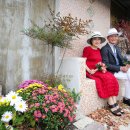 예술인마을 펜션 이미지