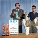 베스트인쇼 - 수원시 장안구 경수대로995번길 11-27 | 베스트인쇼