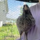 무럭무럭(주) 이미지