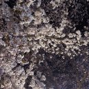 투 에이치 이미지