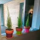 정민레스토랑 이미지