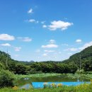 개나리낚시공원 이미지