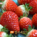 이중현농장 네이버블로그