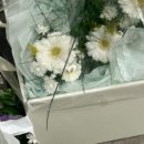 벨라하르딘