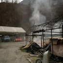 개랑, 마리 이미지