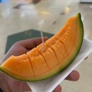 폭포여관 | 차(23.07.18) 비에이 버스투어로 청의호수, 흰수염폭포, 패치워크, 사계채의 언덕, 팜 토미타 관광...