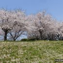 맥도생태공원 이미지