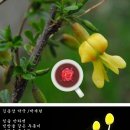 김종삼약국 이미지