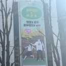 신비학원보습학원 | 세기말풋사과보습학원 롯데월드 콜라보 현장 방문후기 : 세풋보 롯데월드 포토존