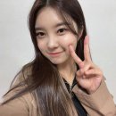 다연 이미지