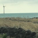 예향의 숲 이미지