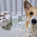 데일리도그(DAILY DOG) | 강아지 관절 영양제 근감소예방 도그니즈 류신 프로틴 추천