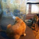 한우리농장 이미지