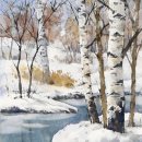 자작나무 숲 이미지