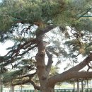 문치마을회관 이미지