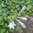 갈미중앙공원 이미지