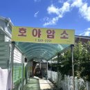 호야암소한마리