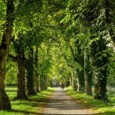 카페자연 이미지