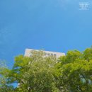고구려유리장식철물 | 너무 넓은 <국립중앙박물관> 다녀왔어요(1편) (2026년 6월)