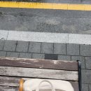 노피어 | ⭐️ 이곳에서의 시간들이 오랫동안 굳건한 나의 편으로 남을 수 있기를