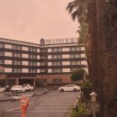 (주)베니키아호텔제주 | 제주 애월 가성비 숙소 베니키아호텔 제주 후기