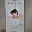 세사리빙 다녀왔어요ㅎ 이미지