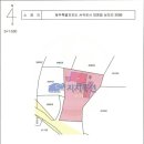 상모리-14 이미지