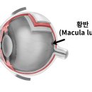 안경매니져이마트점 이미지