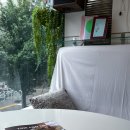 디스앤댓 이미지