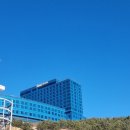 숲속연어어린이집 | 38개월 아기랑 강원도 여행, 탑스텐 호텔 디럭스 더블, 아쿠아파크 금진온천 호캉스 내돈내산