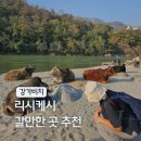 비틀즈 | 인도 여행 후기 : 비틀즈가 사랑한 리시케시 자유여행 갠지스강 강가비치