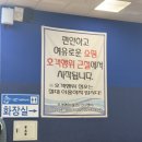 충청건물서비스(주) | 인어교주해적단 제휴 충청수산 줄무늬전갱이 모둠회 포장 솔직 후기