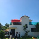 포레스트 명례 이미지