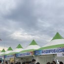 이순신광장 | 여수 이순신광장 축제 후기｜여수 여행 오면 꼭 가야 하는 필수 코스!
