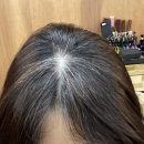 공주대 근처 미용실 &#34;더홍&#34; 뿌리염색 후기