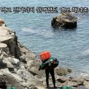 영도문구 | 부산 영도 해녀촌 솔직후기｜성게김밥 먹고 바닷길 산책까지 완벽했던 부산 여행코스