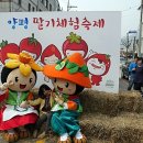 별내체험마을농촌체험관 네이버블로그