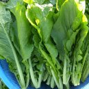 현옥농장 이미지