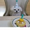 이렇게좋은날 이미지