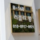 보노디자인 이미지
