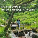 둔내호텔 | 계곡이 있는 횡성 독채펜션 이랑둔내휴양림펜션 E동 후기