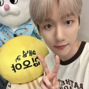 십오야라이브