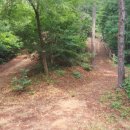 원수산MTB공원 이미지