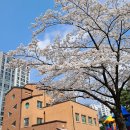 삼덕유치원 이미지