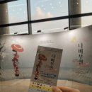 호남오페라단 정기공연 나비부인 | [광주] 광주오페라단 제49회 정기공연 오페라 나비부인 관람 후기