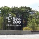 대공원 동물병원 이미지