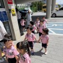 6월 16일 화요일 : 새모 들락날락 현장체험학습 이미지