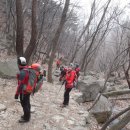 [계룡산] 2015년 2월15일 / 고윈클럽,느리게걷기본부,클럽마스 쪼인산행
