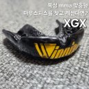 가드복싱 | XGX 마우스피스, MMA 복싱 마우스피스 내돈내산 후기