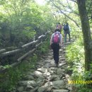 노고단-6 이미지